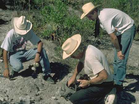 Turbinicarpus laui with people
